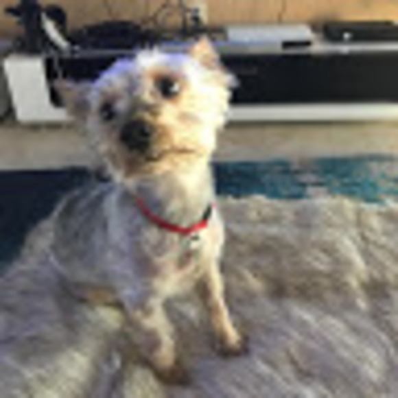 Meet your Posher, Seth - Picture 1 of 1